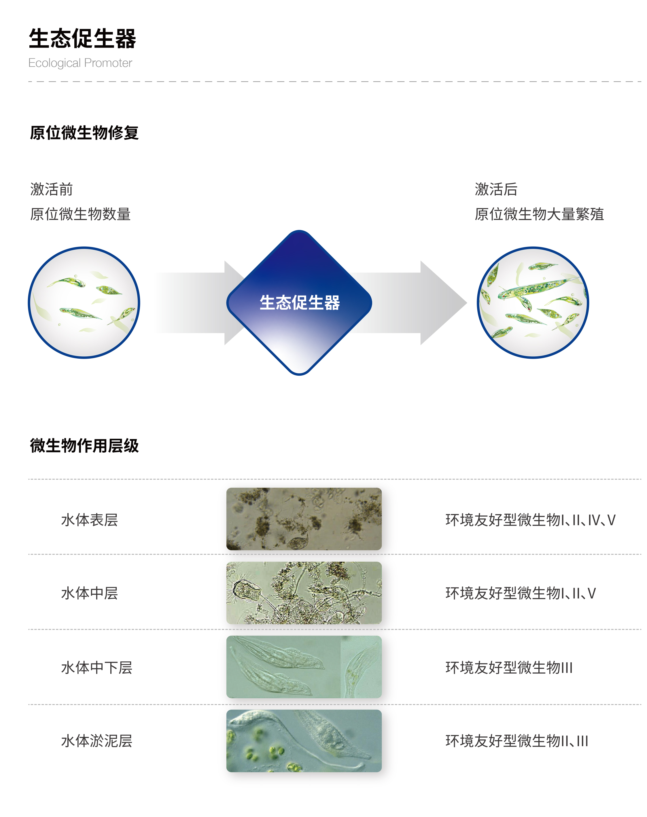 小流域生態(tài)治理技術